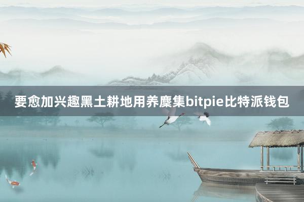 要愈加兴趣黑土耕地用养麇集bitpie比特派钱包