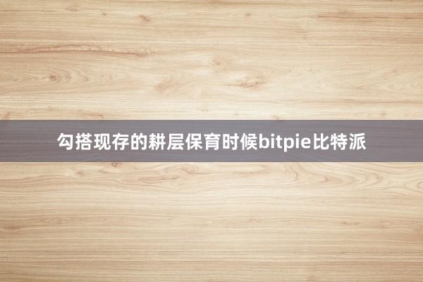 勾搭现存的耕层保育时候bitpie比特派