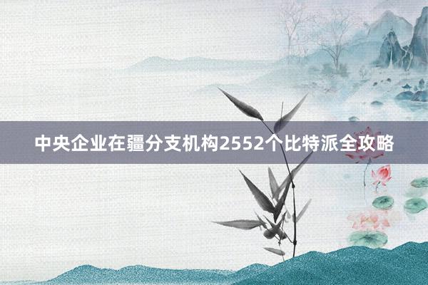 中央企业在疆分支机构2552个比特派全攻略