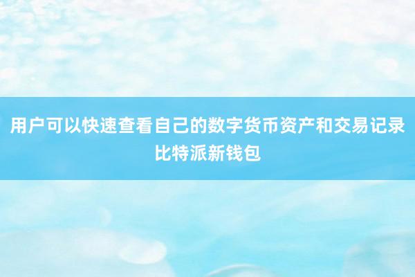 用户可以快速查看自己的数字货币资产和交易记录比特派新钱包