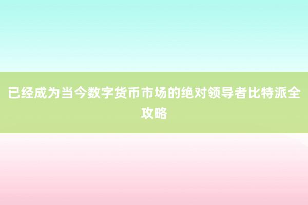 已经成为当今数字货币市场的绝对领导者比特派全攻略