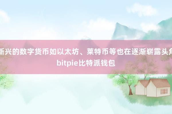 新兴的数字货币如以太坊、莱特币等也在逐渐崭露头角bitpie比特派钱包