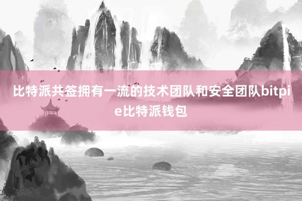 比特派共签拥有一流的技术团队和安全团队bitpie比特派钱包