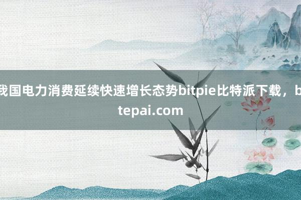 我国电力消费延续快速增长态势bitpie比特派下载，bitepai.com