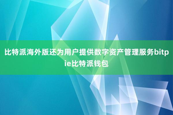 比特派海外版还为用户提供数字资产管理服务bitpie比特派钱包