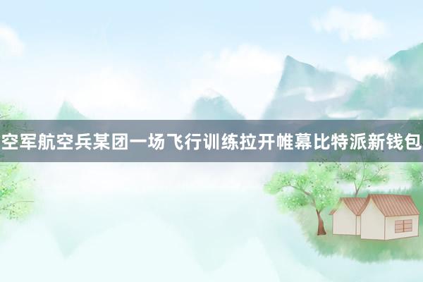 空军航空兵某团一场飞行训练拉开帷幕比特派新钱包