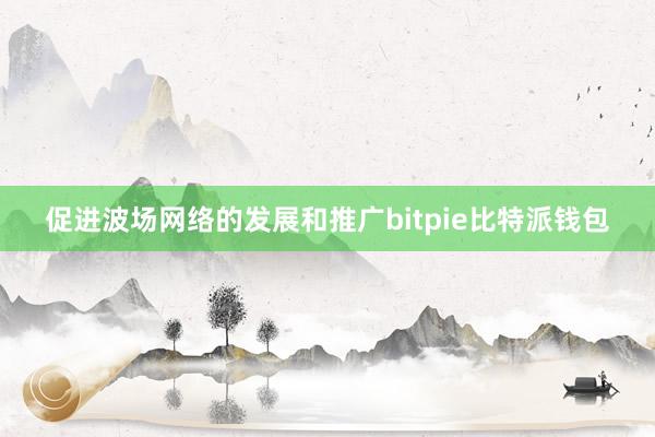 促进波场网络的发展和推广bitpie比特派钱包