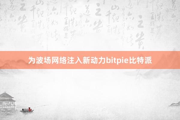 为波场网络注入新动力bitpie比特派