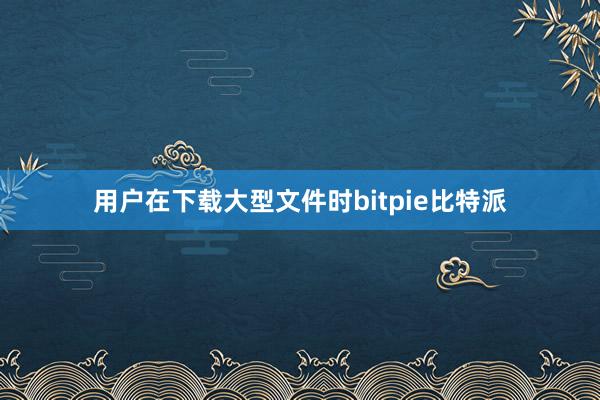 用户在下载大型文件时bitpie比特派