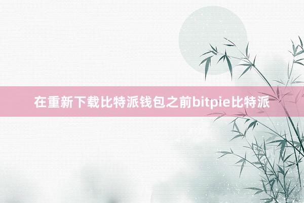 在重新下载比特派钱包之前bitpie比特派