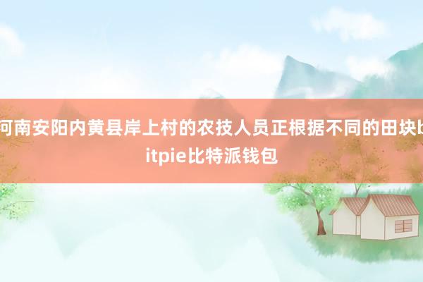 河南安阳内黄县岸上村的农技人员正根据不同的田块bitpie比特派钱包