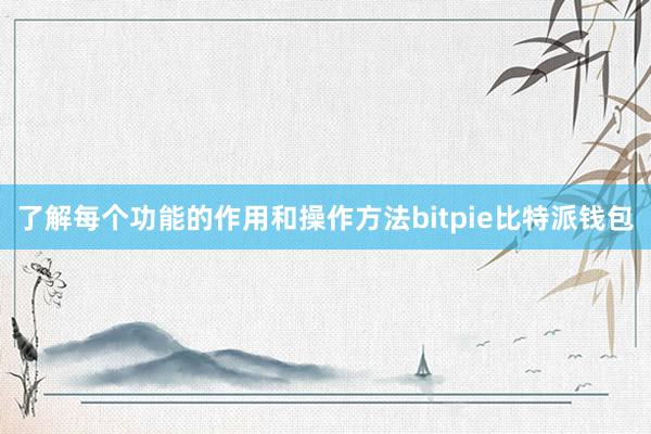 了解每个功能的作用和操作方法bitpie比特派钱包