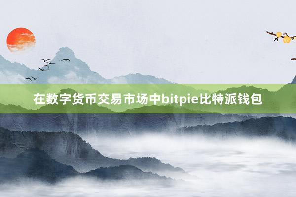 在数字货币交易市场中bitpie比特派钱包