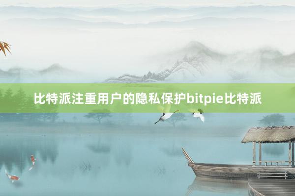 比特派注重用户的隐私保护bitpie比特派