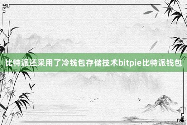 比特派还采用了冷钱包存储技术bitpie比特派钱包