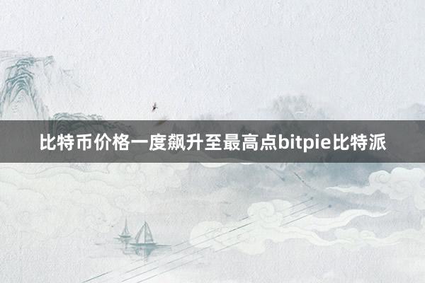 比特币价格一度飙升至最高点bitpie比特派