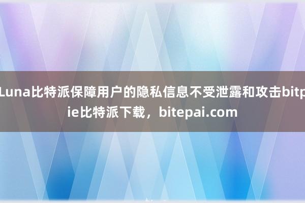 Luna比特派保障用户的隐私信息不受泄露和攻击bitpie比特派下载，bitepai.com