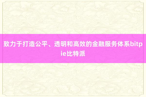 致力于打造公平、透明和高效的金融服务体系bitpie比特派