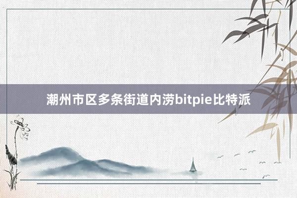 潮州市区多条街道内涝bitpie比特派