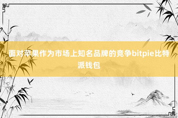 面对苹果作为市场上知名品牌的竞争bitpie比特派钱包