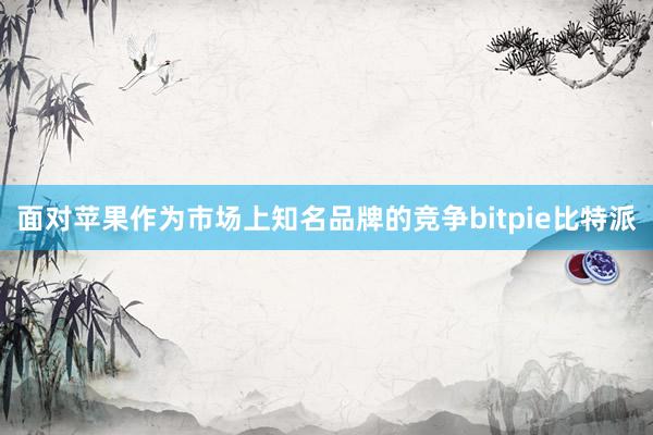 面对苹果作为市场上知名品牌的竞争bitpie比特派