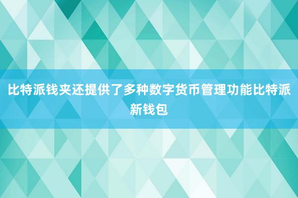 比特派钱夹还提供了多种数字货币管理功能比特派新钱包