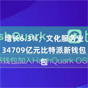 增长6.3%；文化服务业34709亿元比特派新钱包