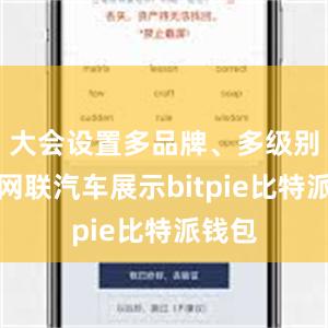 大会设置多品牌、多级别智能网联汽车展示bitpie比特派钱包